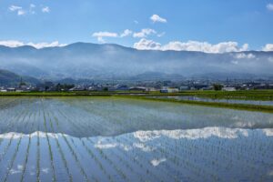 農地転用はココが分かれ目!市街化区域は「届出」調整区域は「許可申請」両者の違いを解説